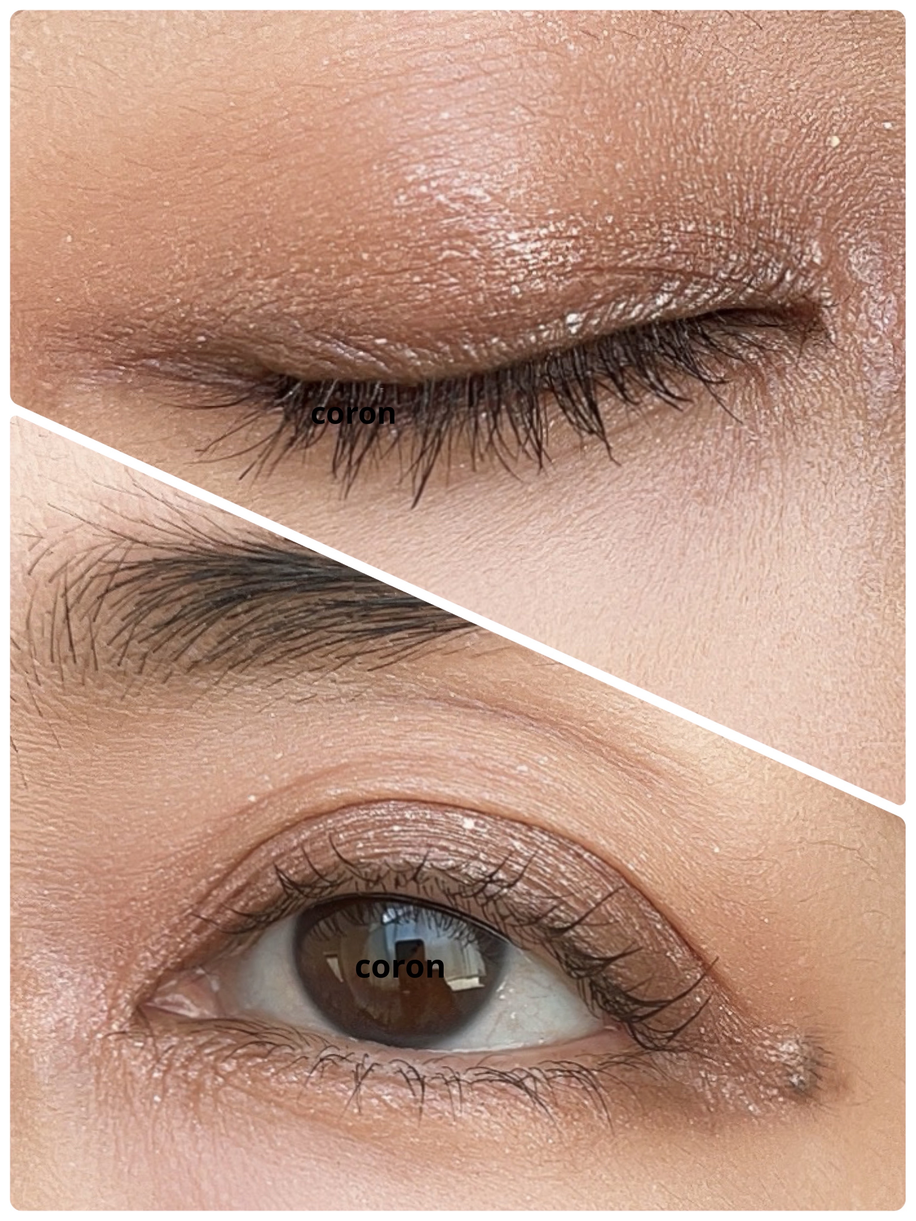 パーフェクトエクステンション マスカラ/D-UP/マスカラを使ったクチコミ（2枚目）