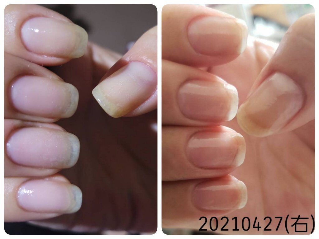 シア ハンドクリーム/L'OCCITANE/ハンドクリームを使ったクチコミ(3枚目)