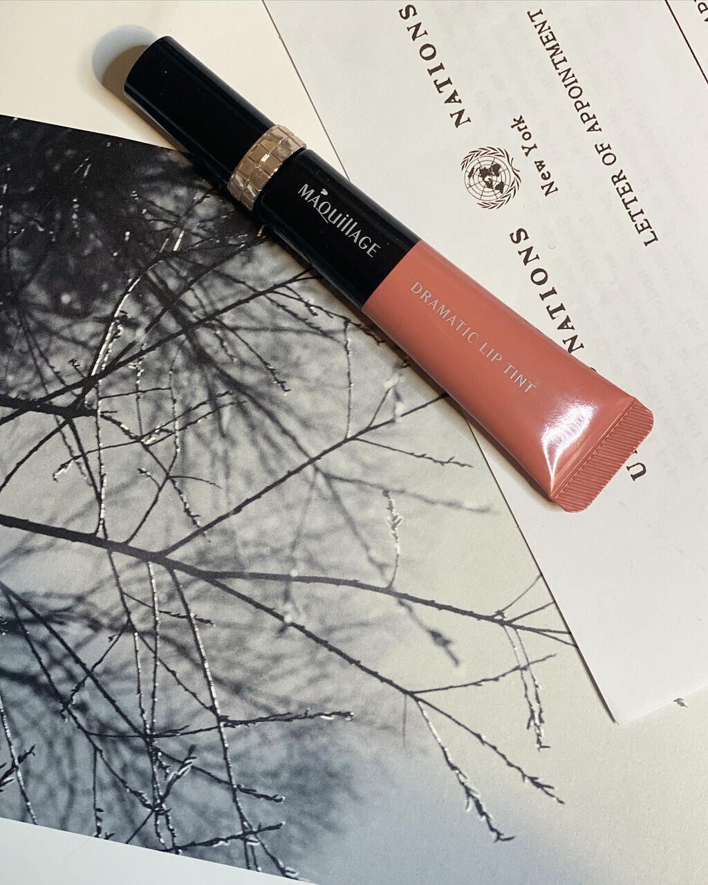 ドラマティックリップティント/マキアージュ/リップティントを使ったクチコミ（1枚目）