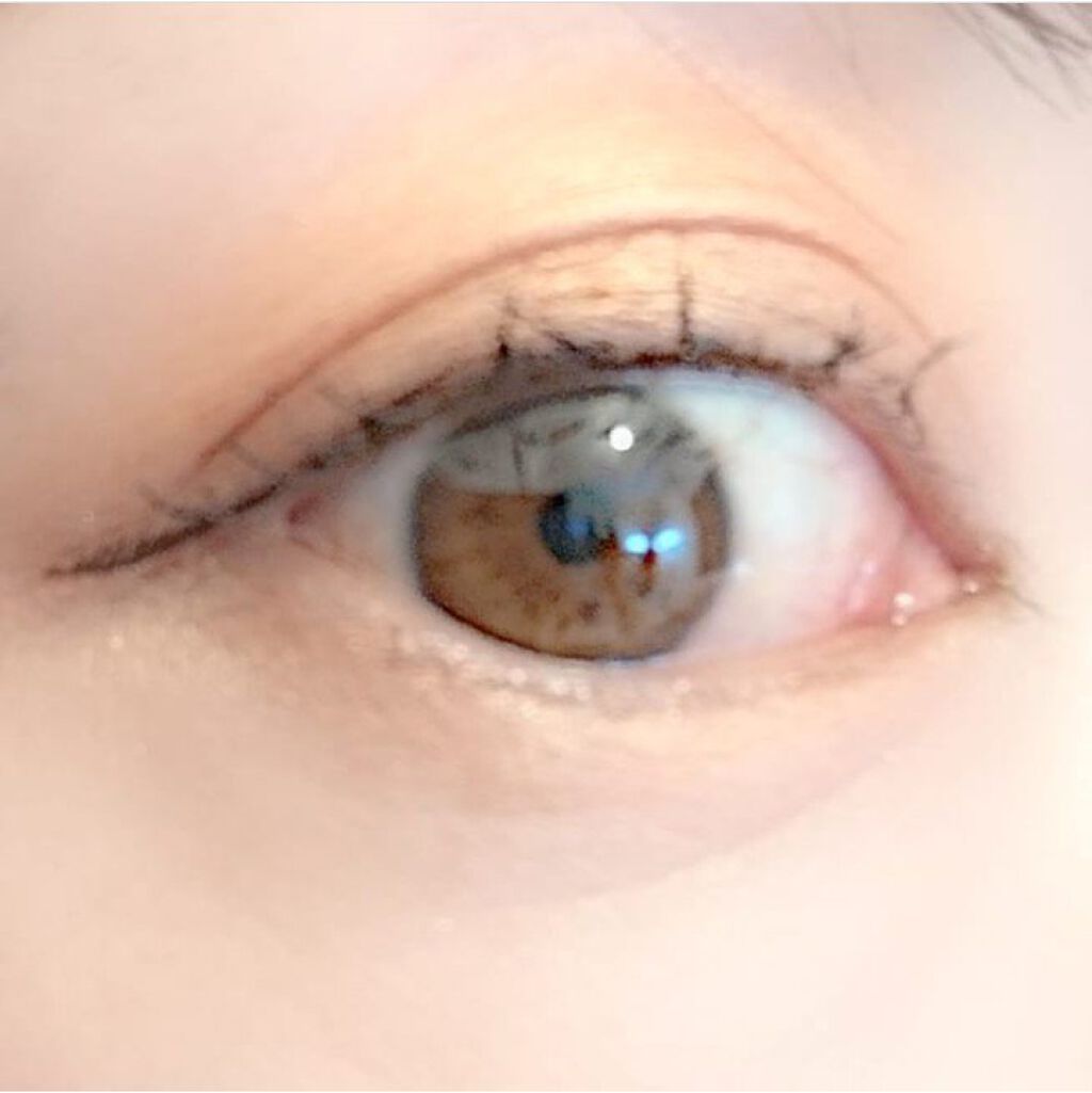 ニブ リクイドアイライナー BR1/ATSUSHI NAKASHIMA Cosme/リキッドアイライナーを使ったクチコミ（2枚目）