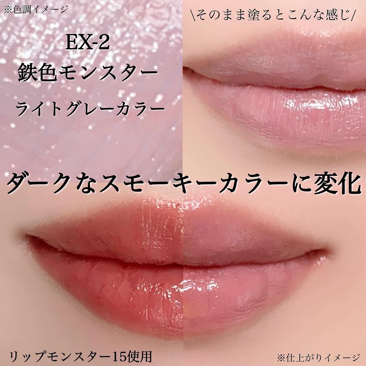 ケイト リップモンスターカラートナー EX-2 鉄色モンスター(限定)/KATE/口紅を使ったクチコミ（3枚目）