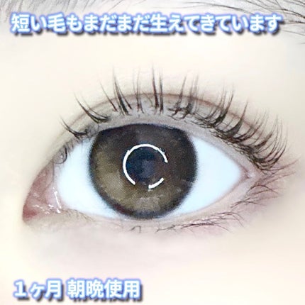 ラッシュリッチアイラッシュセラム/ロート製薬/まつげ美容液を使ったクチコミ(3枚目)