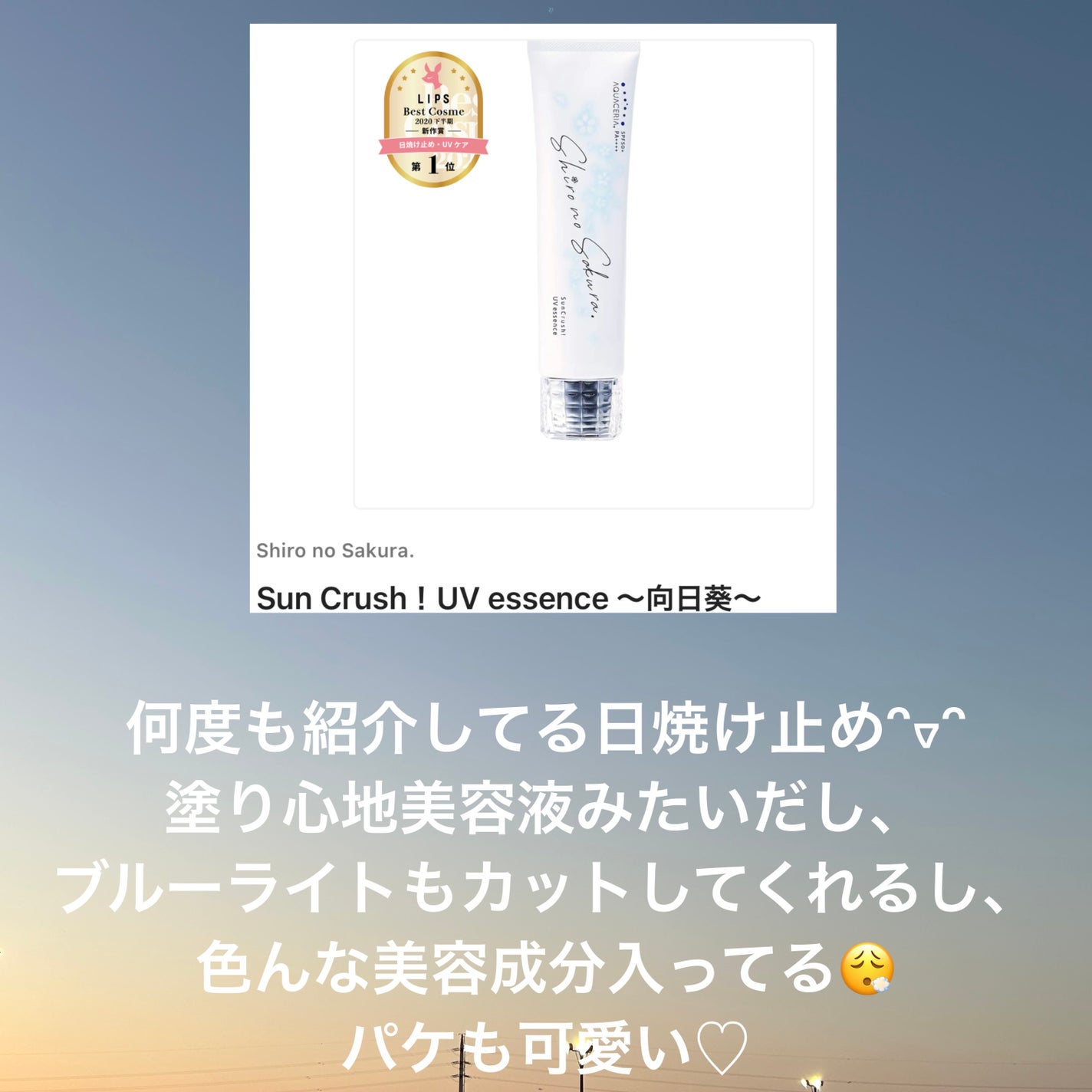 フェアルーセント 薬用デイクリーム ホワイトD ミニサイズ 8gx20個台紙なし 試してみた】フェアルーセント 薬用デイクリーム ホワイトD