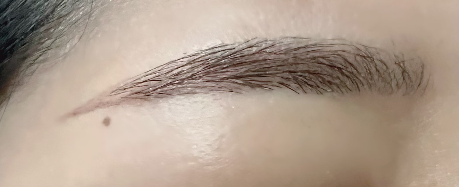 超細芯アイブロウ/CEZANNE/アイブロウペンシルを使ったクチコミ（3枚目）