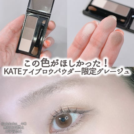 ケイト デザイニングアイブロウ3D/KATE/パウダーアイブロウを使ったクチコミ(1枚目)