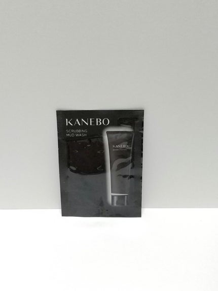 スクラビング マッド ウォッシュ/KANEBO/洗顔フォームを使ったクチコミ(1枚目)