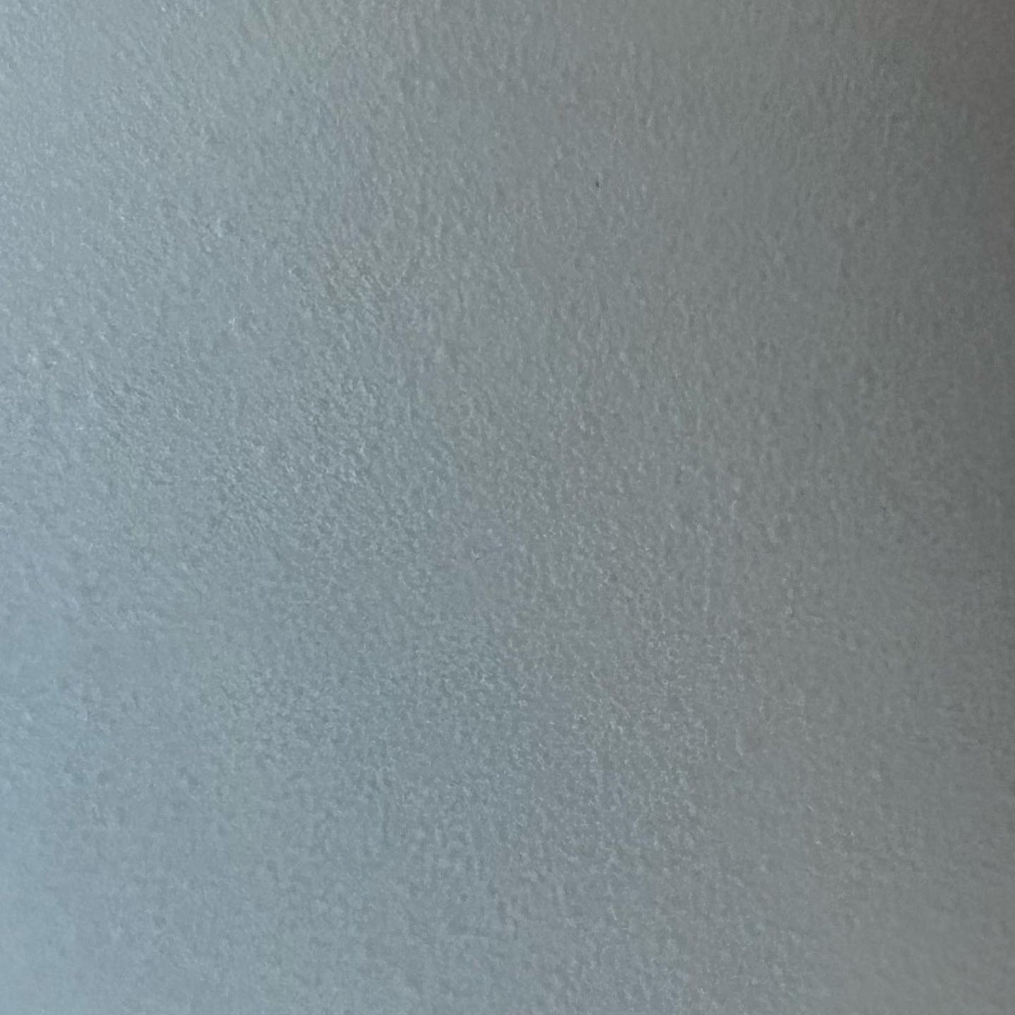 マイクロムース リフレッシャー/ALBLANC/泡洗顔を使ったクチコミ(8枚目)