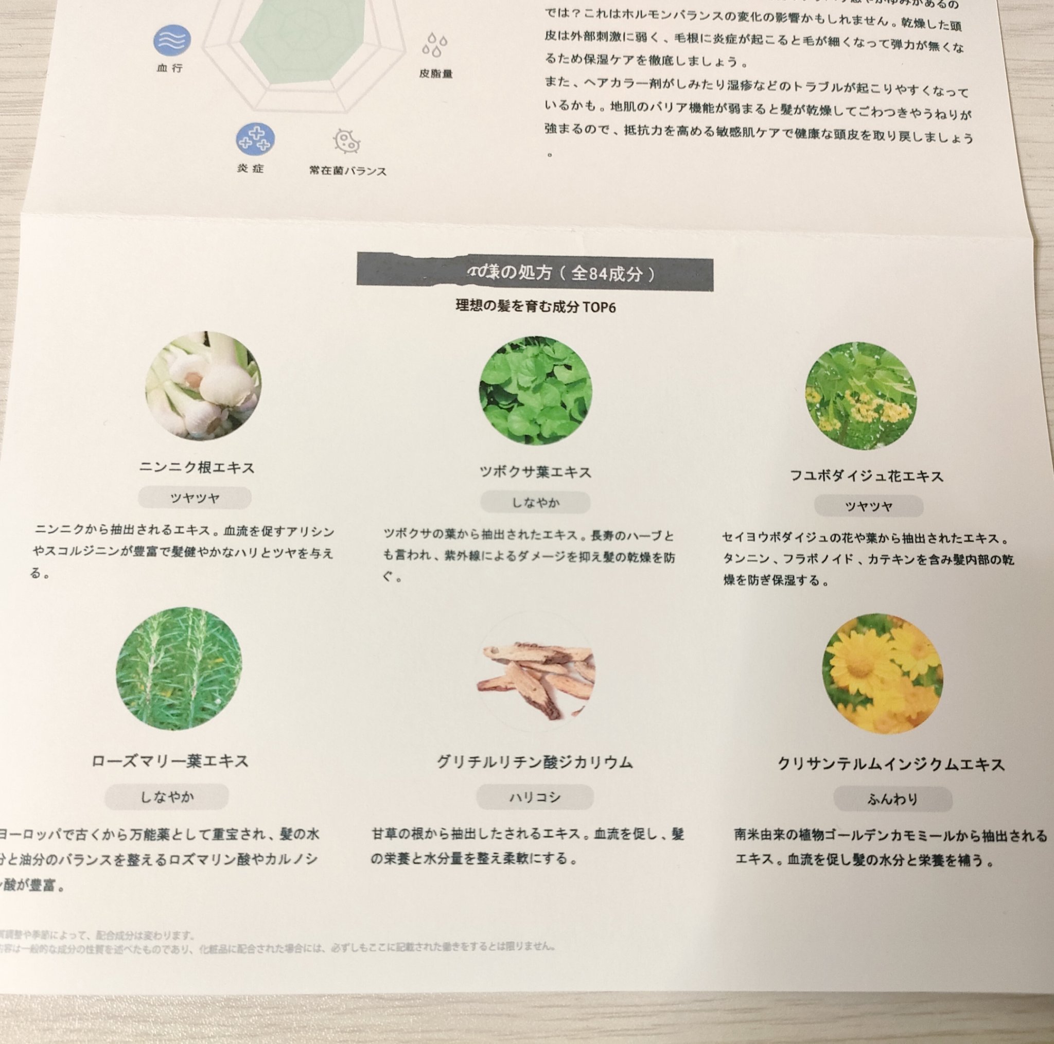 オンリーユースカルプセラム/hoLy_One/頭皮ローションを使ったクチコミ（3枚目）