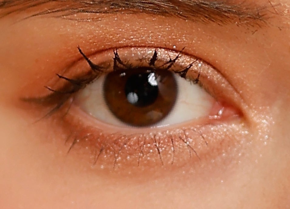 マイキティアイパレット 01 エキゾチックショートヘア