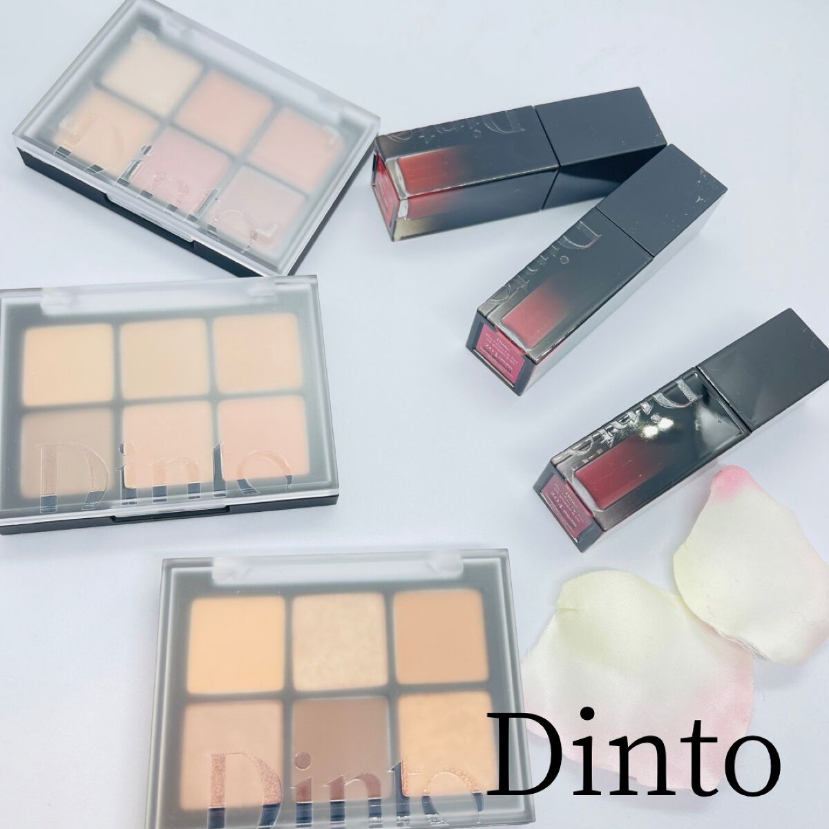 ブラーフィニシュシャドウパレット/Dinto/アイシャドウパレットを使ったクチコミ（1枚目）