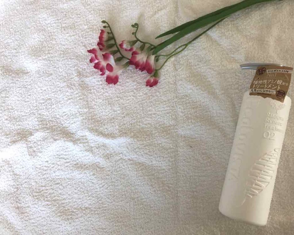 シャンプー(モイスト スパ) ／ヘアトリートメント(モイスト スパ)/ECOLOVISTA（エコロヴィスタ）/市販シャンプーを使ったクチコミ（2枚目）