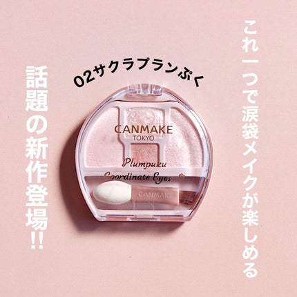 プランぷくコーデアイズ/キャンメイク/パウダーアイシャドウを使ったクチコミ(2枚目)