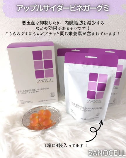 サノセル アップルサイダービネガーコンブチャ/SANOCELL/コンブチャを使ったクチコミ(3枚目)