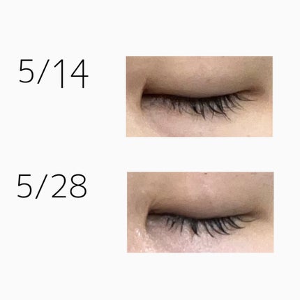 ロングアクティブアイラッシュセラム/COSNORI/まつげ美容液を使ったクチコミ(2枚目)