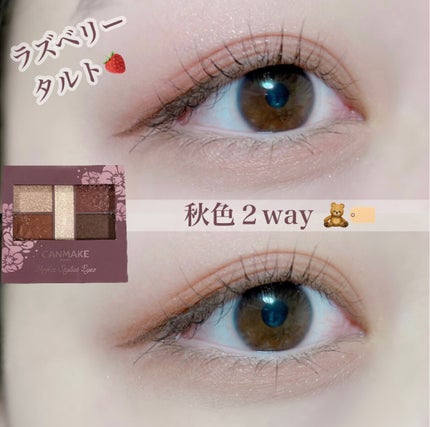 パーフェクトスタイリストアイズ/キャンメイク/アイシャドウパレットを使ったクチコミ(1枚目)