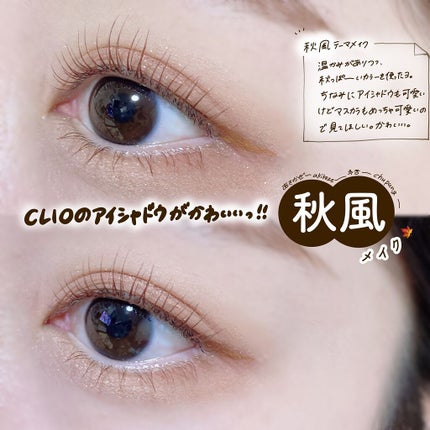 プロ アイ パレット/CLIO/アイシャドウパレットを使ったクチコミ(1枚目)