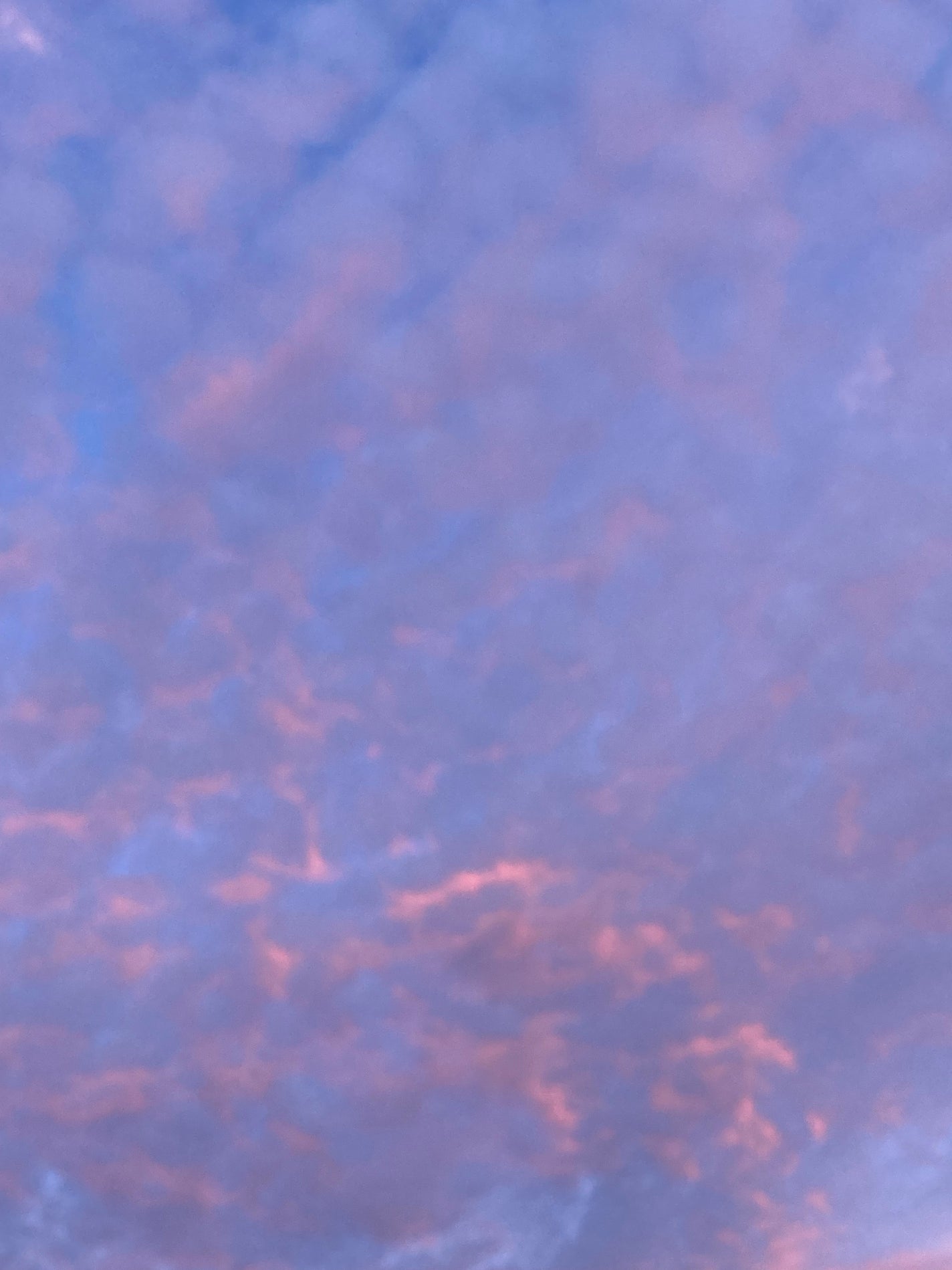 朱里 ゆったり部屋 on LIPS 「ごめんって話🙏…聞いてくれる?あのですねー。朱里,スマホを取り..」(1枚目)