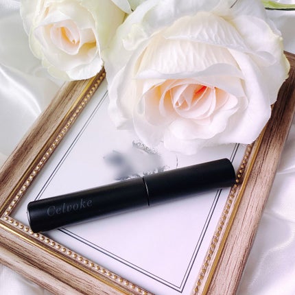 セルヴォーク インディケイトアイブロウマスカラ C 〈C〉02 ハバネロ/Celvoke/眉マスカラを使ったクチコミ(1枚目)