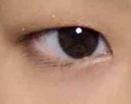 スキニーリッチシャドウ/excel/アイシャドウパレットを使ったクチコミ(1枚目)