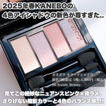 カラードシャドウ/KANEBO/アイシャドウパレットを使ったクチコミ(2枚目)