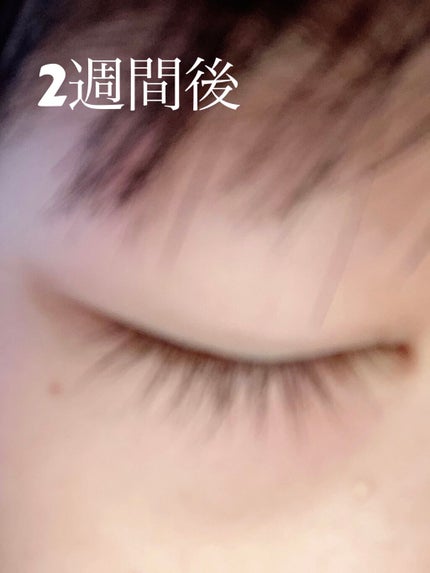 まつげ美容液EX/CEZANNE/まつげ美容液を使ったクチコミ(4枚目)