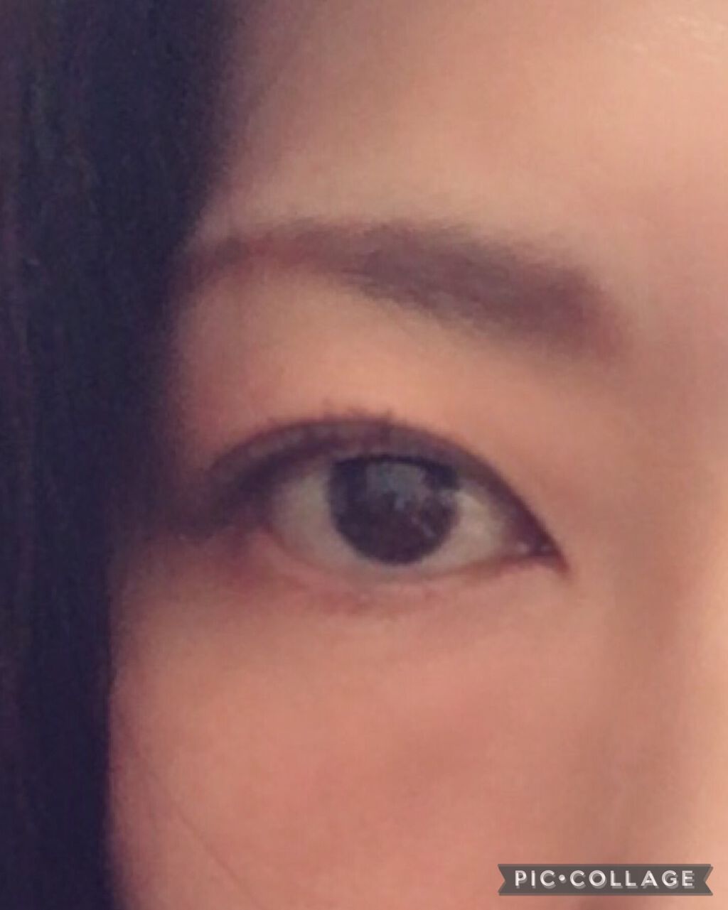 サンク クルール クチュール<バーズ オブ ア フェザー>/Dior/アイシャドウパレットを使ったクチコミ(4枚目)