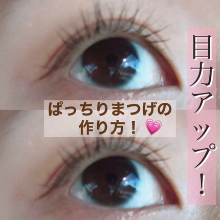 アイラッシュカーラー /SHISEIDO/ビューラーを使ったクチコミ(1枚目)