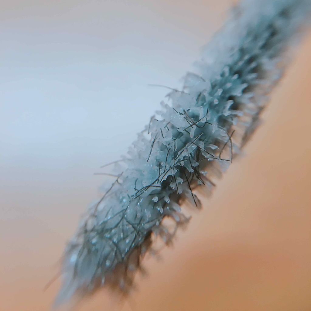 ラッシュマキシマイザーN/KATE/マスカラ下地を使ったクチコミ（2枚目）