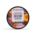 THE BODY SHOP リップバター プラム