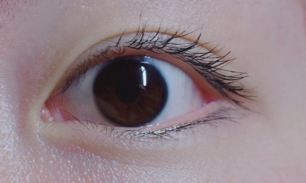 カールキープベース/CEZANNE/マスカラ下地を使ったクチコミ（2枚目）