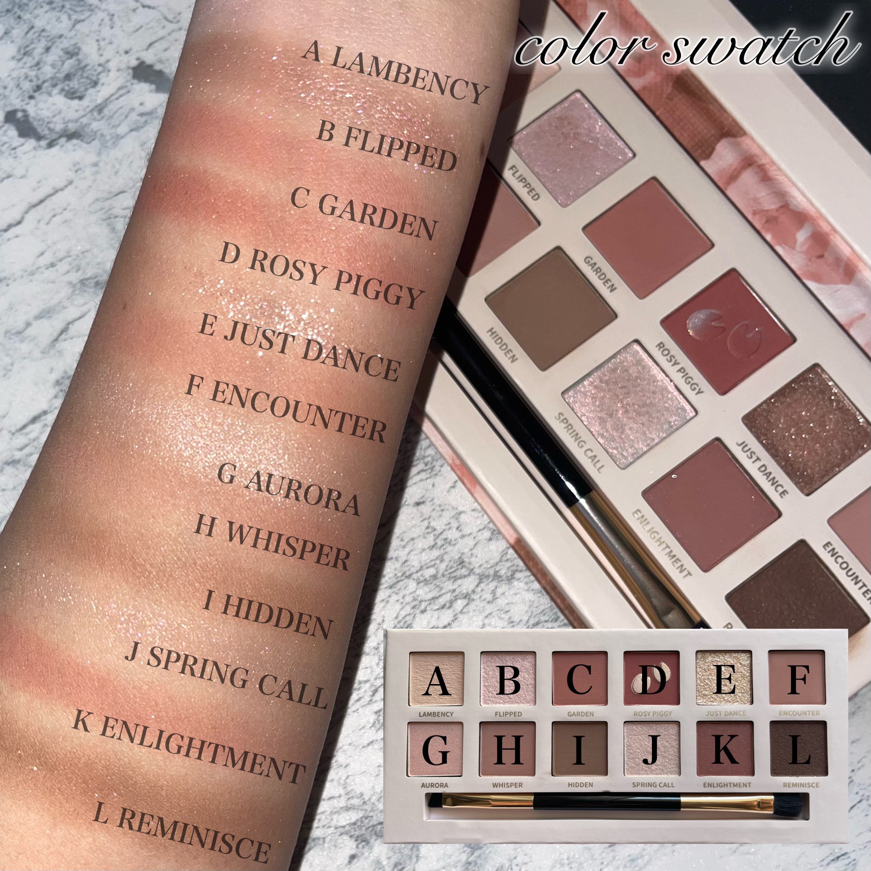 2023年秋新作アイシャドウパレット】エクスプローラ12色 動物アイ