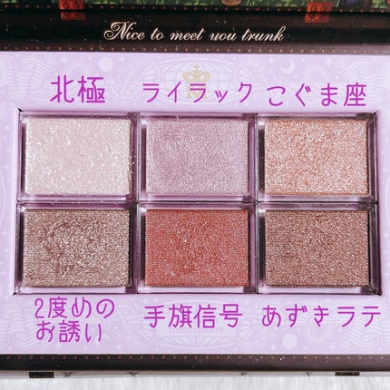 ナイストゥミーチュートランク/MAJOLICA MAJORCA/アイシャドウパレットを使ったクチコミ(7枚目)