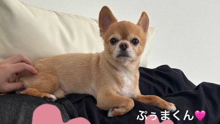 アイ カラー クォード/TOM FORD BEAUTY/アイシャドウパレットを使ったクチコミ(5枚目)