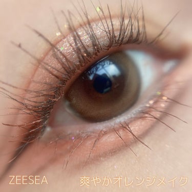 ZEESEA「ファンタジーパーク」12色アイシャドウパレット/ZEESEA/アイシャドウパレットを使ったクチコミ（1枚目）