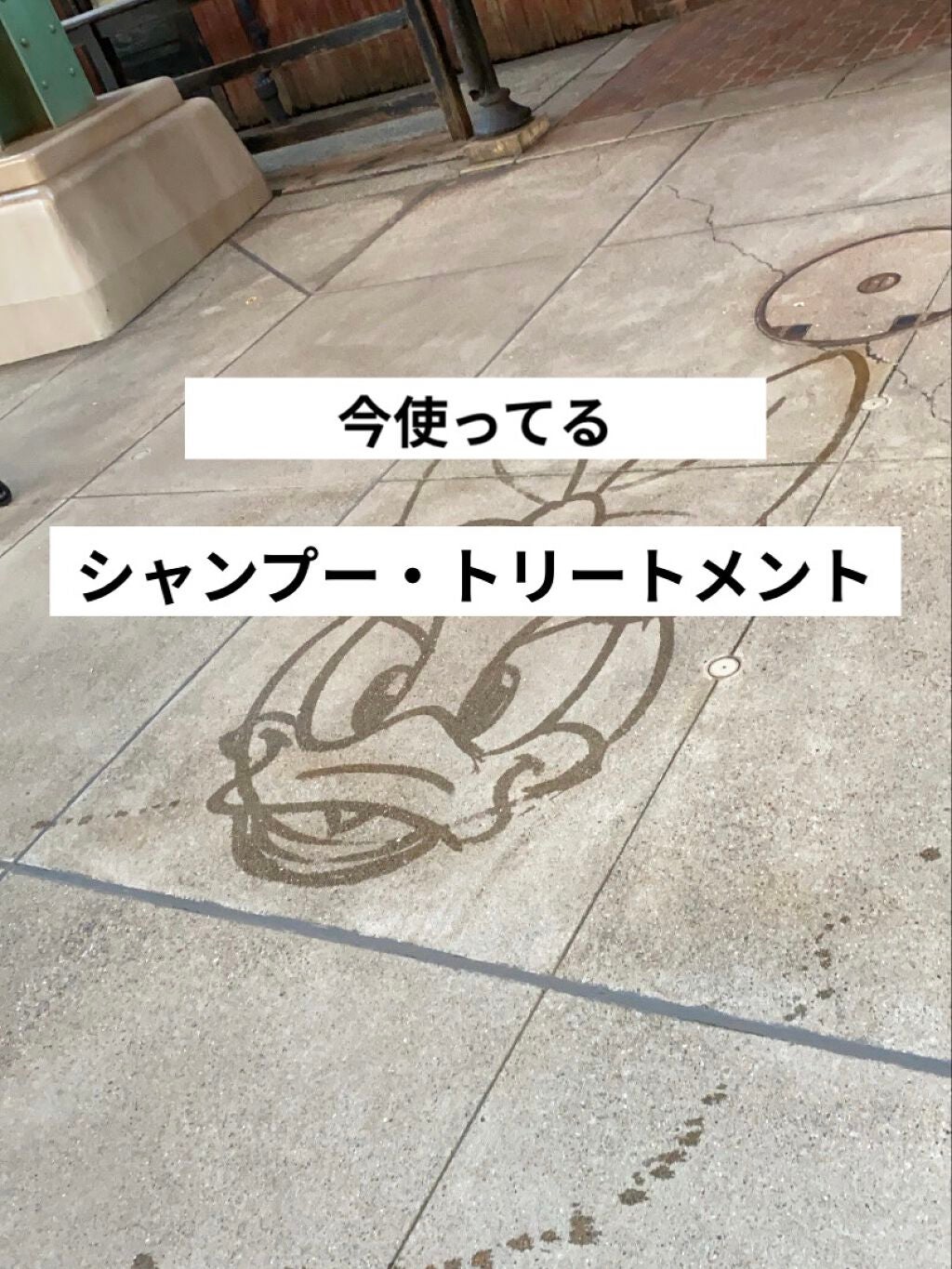 シャンプー/トリートメント SN さらさら/CLAYGE/シャンプー・コンディショナーを使ったクチコミ(1枚目)