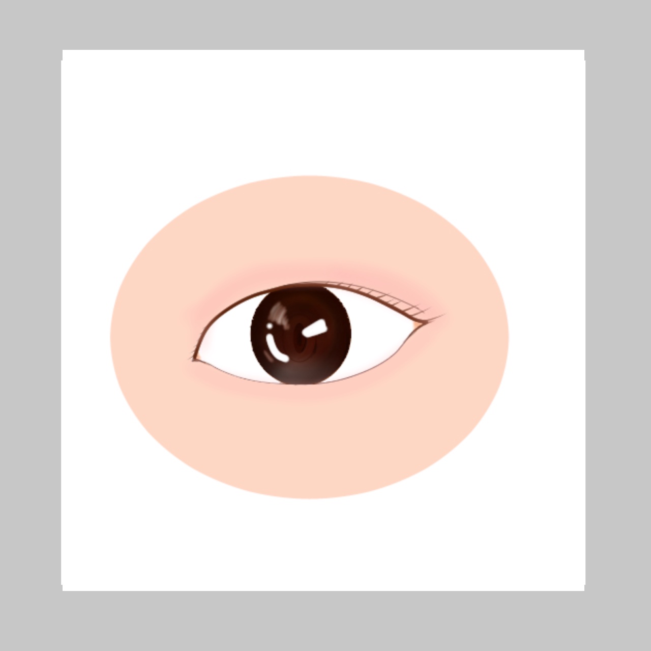 女王のカメオマルチパレット  01 シャルロット/COLORROSE/マルチパレットを使ったクチコミ（3枚目）