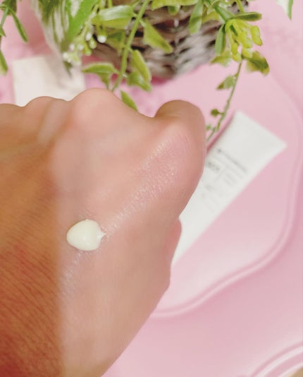 を使ったクチコミ(3枚目)