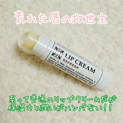 ハーバルリップクリーム リフレッシュ/MARKS&WEB/リップクリームを使ったクチコミ(2枚目)