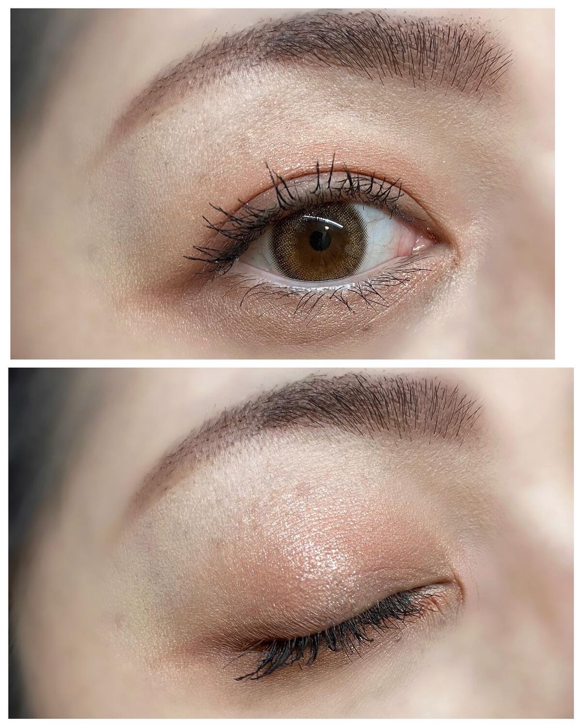 インザミラーアイパレット/Ririmew/アイシャドウパレットを使ったクチコミ(6枚目)