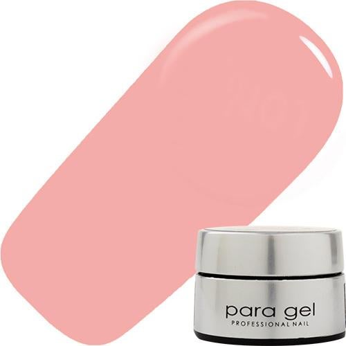 パラジェル DN01 ハワイアンホリデー