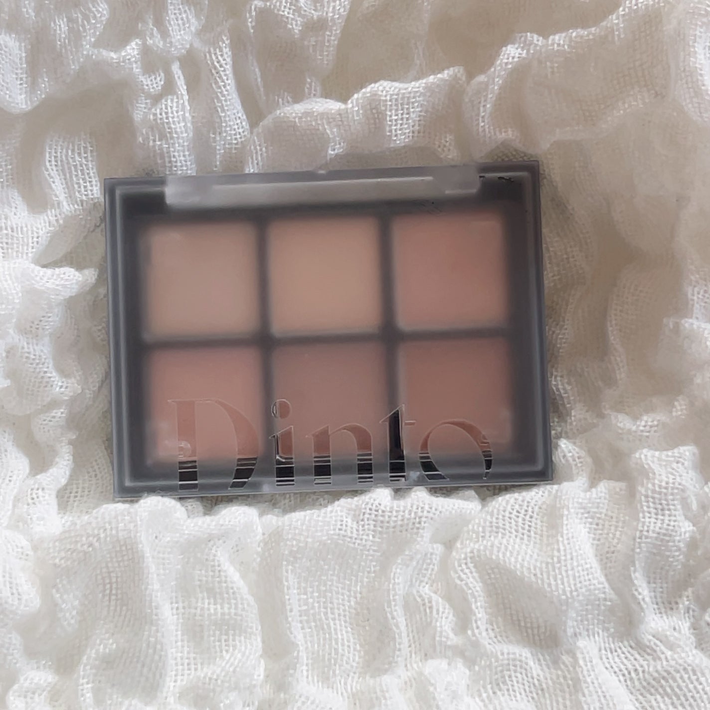 ブラーフィニシュシャドウパレット/Dinto/アイシャドウパレットを使ったクチコミ(1枚目)