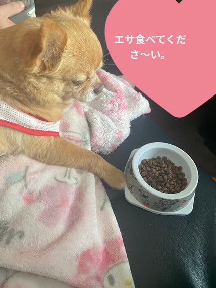 リップコンフォートオイル/CLARINS/リップグロスを使ったクチコミ(7枚目)