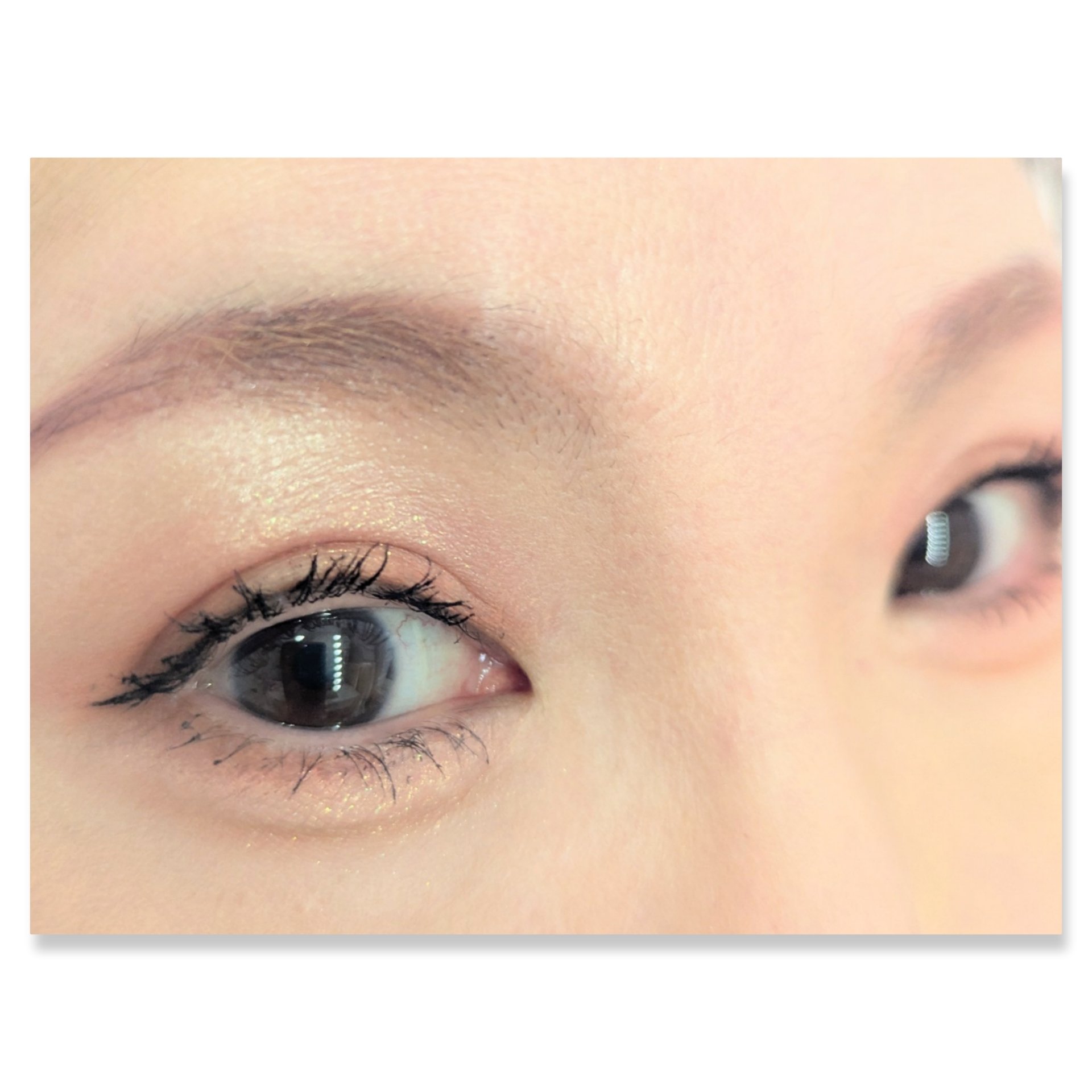 エクスプローラ12色 動物アイシャドウパレット/PERFECT DIARY/アイシャドウパレットを使ったクチコミ（2枚目）