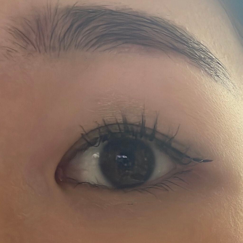 リシェ デュオリッチ アイズ/Visée/アイシャドウパレットを使ったクチコミ(1枚目)