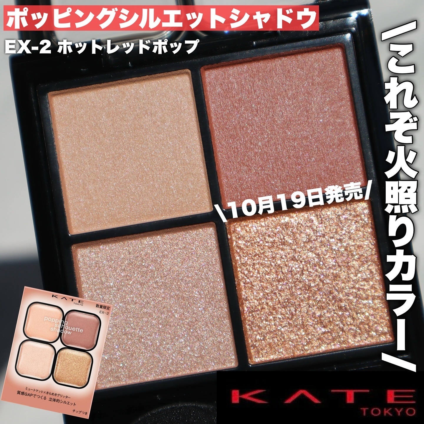 ケイト ポッピングシルエットシャドウ EX-2 ホットレッドポップ(限定)/KATE/アイシャドウパレットを使ったクチコミ（3枚目）
