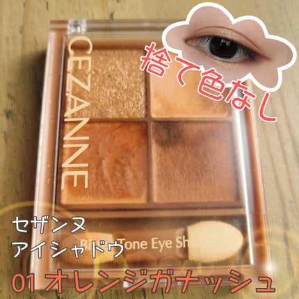ビタートーンアイシャドウ/CEZANNE/パウダーアイシャドウを使ったクチコミ(1枚目)