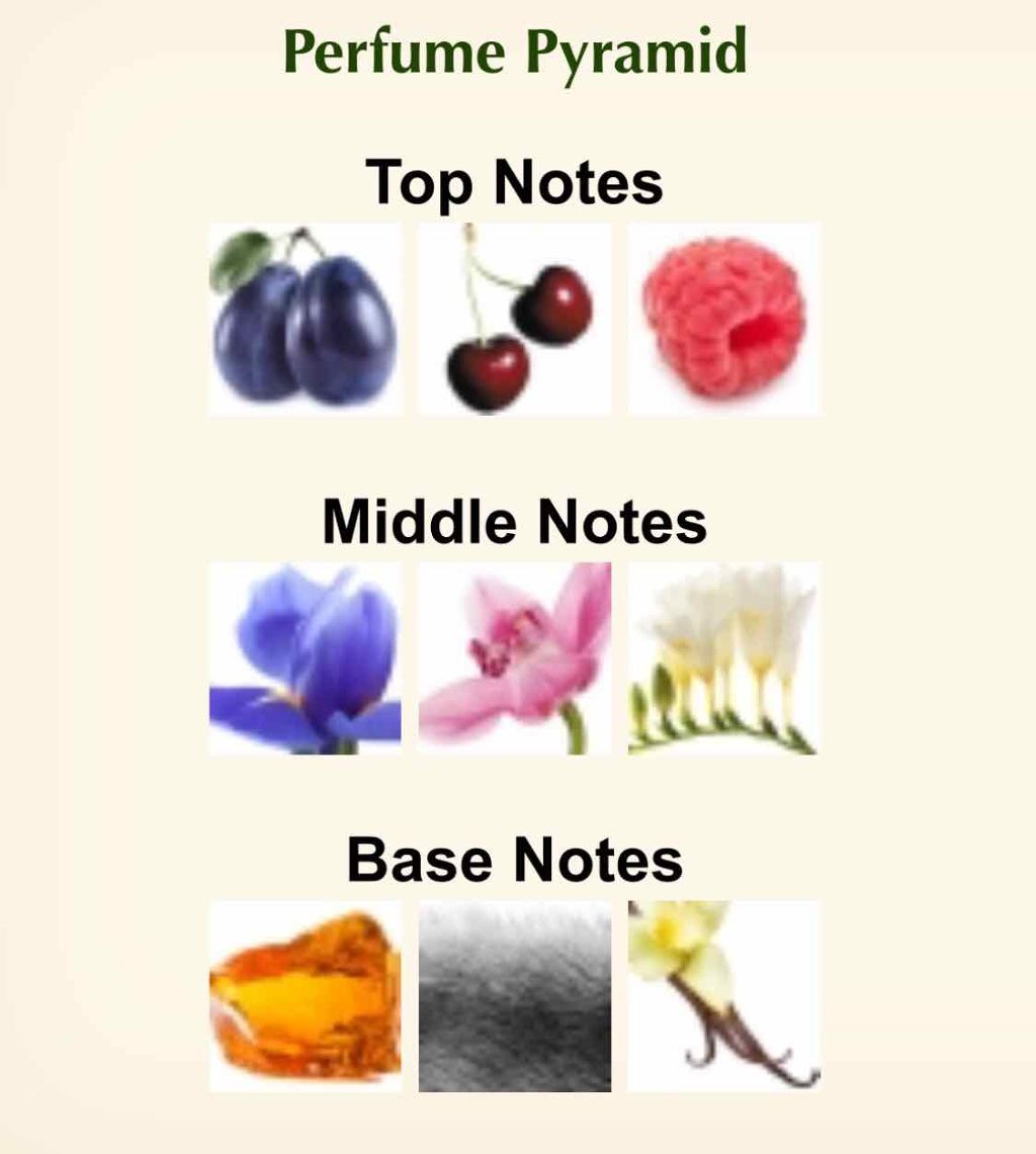 ミッドナイトファンタジー オーデパルファムスプレー/ブリトニー スピアーズ/香水(レディース)を使ったクチコミ(2枚目)