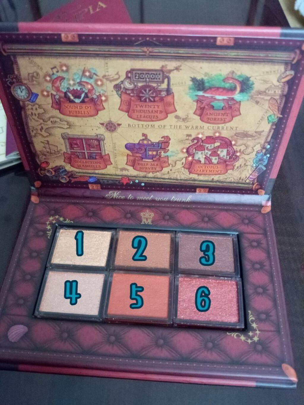 ナイストゥミーチュートランク/MAJOLICA MAJORCA/アイシャドウパレットを使ったクチコミ(3枚目)