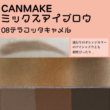 ミックスアイブロウ 08 テラコッタキャメル/キャンメイク/パウダーアイブロウを使ったクチコミ(3枚目)