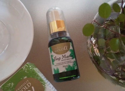 mcgroupakiko on LIPS 「毎日の山歩きを再開しました。午前中ゆっくり友人と歩きますこと約..」(4枚目)